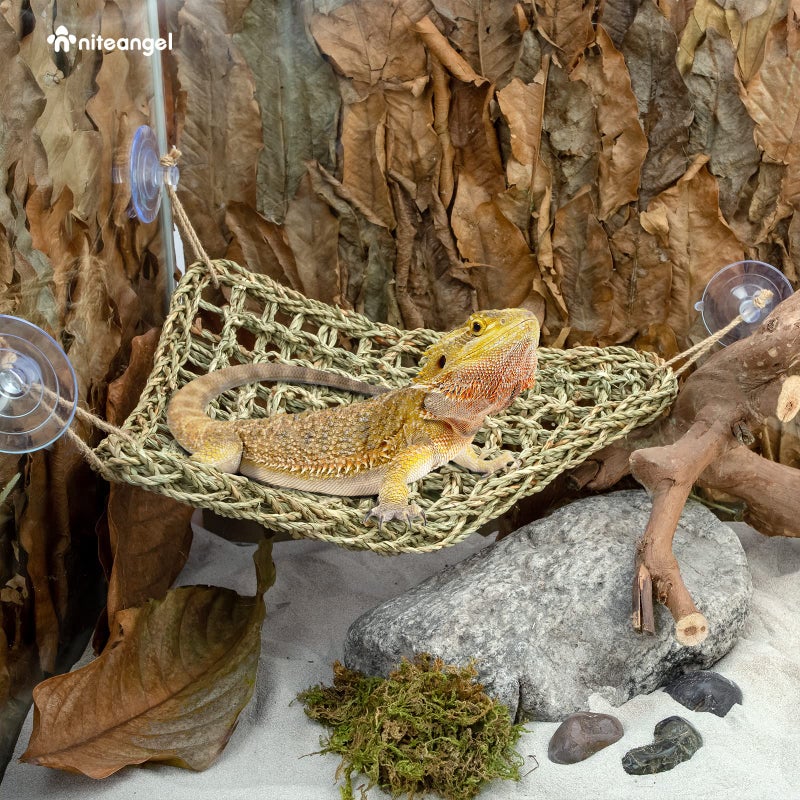 Niteangel Bearded Dragon Hammock Reptile Lounger for Chameleon, Lizards, Gecko, Snakes, Lguana Reptiles, Geckos (Triangle 17'' x 12.5'') - Image 5